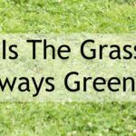 The Grass is Always Greener…